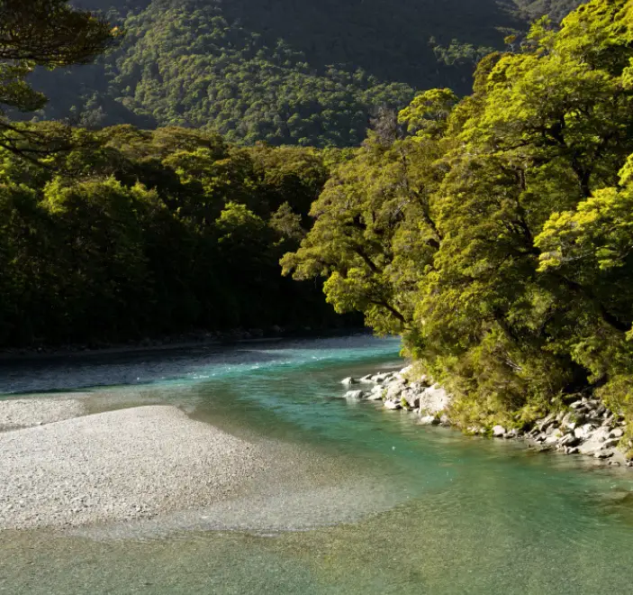 Dental Tourism In ALbania